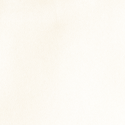 Matte Chalk White