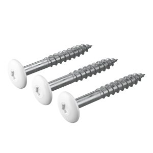 Arctic White Hardie™ Coloured Topped Screws – Bag of 50