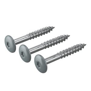 Iron Grey Hardie™ Coloured Topped Screws – Bag of 50
