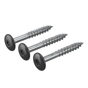 Midnight Black Hardie™ Coloured Topped Screws – Bag of 50