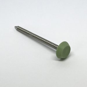 65mm x 2mm POLYTOPS® Nails (Box of 100) A4 Stainless Steel - Chartwell Green