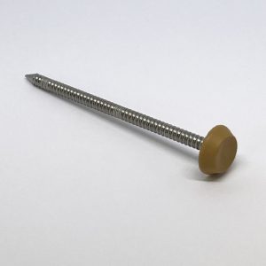 40mm x 2mm POLYTOPS® Pins (Box of 250) A4 Stainless Steel - Irish Oak