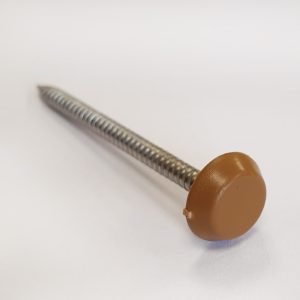 50mm x 2mm POLYTOPS® Nails (Box of 100) A4 Stainless Steel - Light Brown